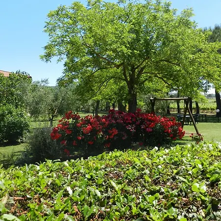 Fusini Farm stay Magliano in Toscana