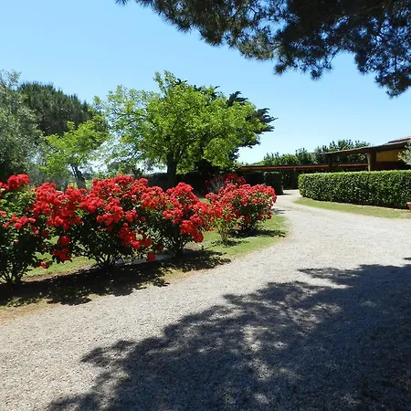 Fusini Farm stay