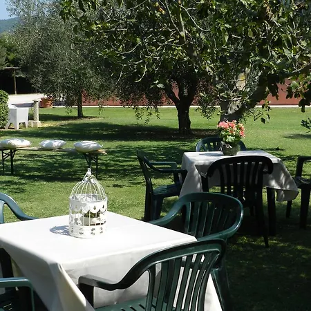 Fusini Farm stay *