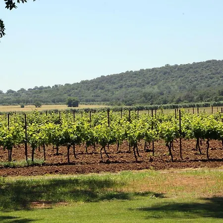 Farm stay Fusini Magliano in Toscana