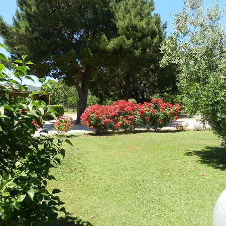 Fusini